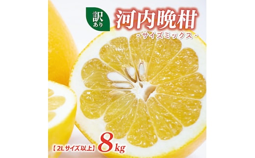 訳あり 河内晩柑 2L サイズ 以上 8kg サイズミックス 7000円 みかん かわちばんかん ミカン mikan わけあり 愛南ゴールド 家庭用 あいなん ゴールド 美生柑 文旦 派生 和製 グレープフルーツ 産地直送 国産 農家直送 期間限定 数量限定 特産品 人気 限定 甘い おいしい フルーツ 果物 柑橘 蜜柑 アイス ジュース 等に 規格外 大樹農園 愛南町 愛媛県