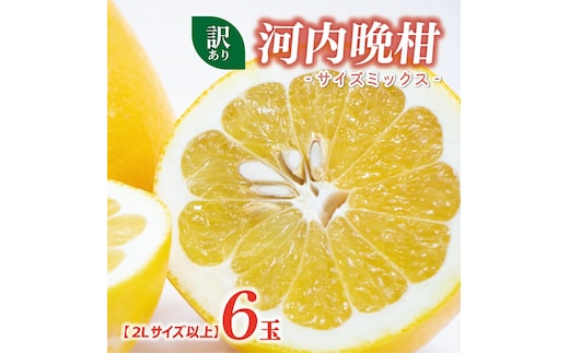 訳あり 河内晩柑 2L サイズ 以上 6玉 (約 3.5kg) サイズミックス 5000円 みかん かわちばんかん ミカン mikan わけあり 愛南ゴールド 家庭用 あいなん ゴールド 美生柑 文旦 派生 和製 グレープフルーツ 産地直送 国産 農家直送 期間限定 数量限定 特産品 人気 甘い おいしい フルーツ 果物 柑橘 蜜柑 アイス ジュース 等に 規格外 大樹農園 愛南町 愛媛県