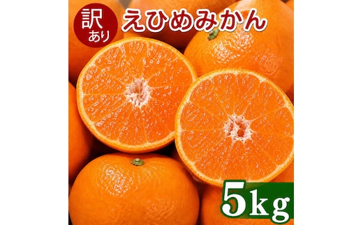 【先行予約】 訳あり 愛媛みかん 5kg 傷み補償 250g 増量 発送期間 2026年11月上旬以降 みかん 愛媛みかん 温州みかん 南柑20号 柑橘 蜜柑 かんきつ 冬 秋 旬 正月 おすそ分け シェア 愛媛 愛媛県 愛南町 お歳暮 プレゼント くだもの 果物 フルーツ おやつ お菓子 和菓子 甘い 糖度 オレンジ 冷凍 みかん ジュース 清家ばんかんビレッジ