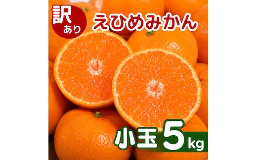 【先行予約】訳あり 愛媛みかん 小玉 5kg 傷み補償 250g 増量 発送期間 2026年11月上旬以降 みかん 愛媛みかん 温州みかん 南柑20号 柑橘 蜜柑 かんきつ 冬 秋 旬 正月 愛媛 愛媛県 愛南町 お歳暮 プレゼント くだもの 果物 フルーツ スイーツ おやつ お菓子 和菓子 甘い 糖度 オレンジ 冷凍 みかん ジュース 清家ばんかんビレッジ