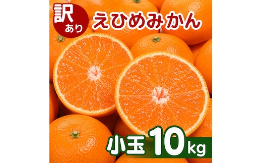 【先行予約】訳あり 愛媛みかん 小玉 10kg 傷み補償 500g 増量 【発送期間 2026年11月上旬～】 みかん 愛媛みかん 温州みかん 南柑20号 柑橘 蜜柑 かんきつ 冬 秋 旬 正月 愛媛 愛媛県 愛南町 お歳暮 プレゼント くだもの 果物 フルーツ スイーツ おやつ お菓子 和菓子 甘い 糖度 オレンジ 冷凍 みかん ジュース 清家ばんかんビレッジ