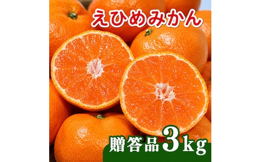 【先行予約】贈答品 愛媛みかん 3kg 傷み補償 250g 増量 発送期間 2026年11月上旬以降 みかん 愛媛みかん 温州みかん 南柑20号 柑橘 蜜柑 かんきつ 冬 秋 旬 正月 愛媛 愛媛県 愛南町 お歳暮 プレゼント くだもの 果物 フルーツ スイーツ おやつ お菓子 和菓子 甘い 糖度 オレンジ 冷凍 みかん ジュース 清家ばんかんビレッジ