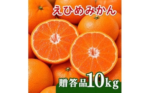 【先行予約】贈答品 愛媛みかん 10kg 傷み補償 500g 増量 発送期間 2026年11月上旬以降 みかん 愛媛みかん 温州みかん 南柑20号 柑橘 蜜柑 かんきつ 冬 秋 旬 正月 愛媛 愛媛県 愛南町 お歳暮 プレゼント くだもの 果物 フルーツ スイーツ おやつ お菓子 和菓子 甘い 糖度 オレンジ 冷凍 みかん ジュース 清家ばんかんビレッジ
