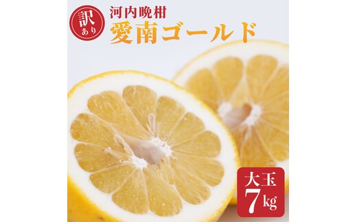 訳あり 愛南ゴールド 大玉 7kg 河内晩柑 柑橘 フルーツ 果物 蜜柑 みかん くだもの 家庭用 傷 不揃い サイズミックス かわち ばんかん 和製 グレープフルーツ デザート甘い ジューシー 特産品 国産 農園 直送 愛媛県 愛南町 和家農園