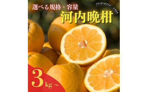 河内晩柑 （愛南ゴールド）木取り完熟 樹齢25年 吉本農園 柑橘 みかん 愛南ゴールド 蜜柑 グレープフルーツ ゼリー ジュース アイス 果物 フルーツ サイズミックス 規格外 愛媛県 愛南町家庭用 5kg 12,000円