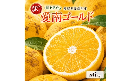 木成り 追熟 訳あり 愛南ゴールド 約6kg 河内晩柑 柑橘 フルーツ 果物 蜜柑 みかん くだもの mikan 家庭用 傷 不揃い 樹上 熟成 サイズミックス かわち ばんかん かんきつ 和製 グレープフルーツ デザート 果実 果汁 甘い ジューシー おいしい 特産品 国産 農園 直送 産地 直送 資格 大学 イノベーター エニシトラス 愛媛県 愛南町 