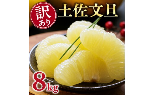 【先行予約：2026年12月中旬～発送】 訳あり 土佐 文旦 8kg (Mサイズ以上サイズミックス) 8000円 わけあり ぶんたん みかん mikan 蜜柑 ミカン 土佐文旦 家庭用 産地直送 国産 農家直送 期間限定 特産品 サイズミックス くらもとファーム 愛南町 愛媛県