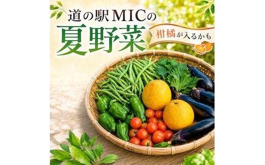 愛南町 旬 の 夏野菜 セット 柑橘 入りの場合も 最低3～4種類 野菜 サラダ 新鮮 葉物 根菜 香味 定番野菜 河内晩柑 かわちばんかん なす ピーマン 愛媛 愛南 愛南総研 道の駅MIC