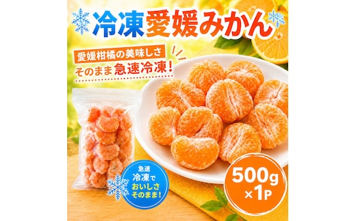 冷凍愛媛みかん 500g×1袋 冷凍みかん みかん ミカン 愛媛みかん 蜜柑 柑橘 かんきつ 冷凍ミカン 冷凍柑橘 アイス スムージー シャーベット みかん職人武田屋 愛媛県 愛南町
