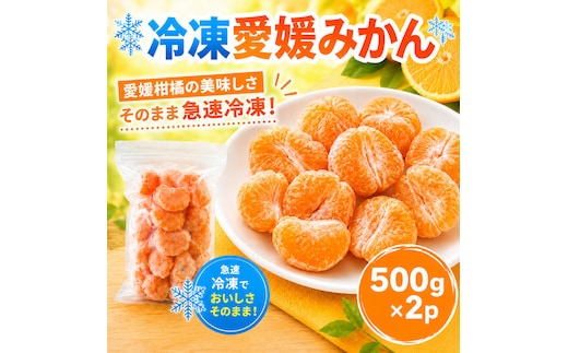 冷凍愛媛みかん 500g×2袋 冷凍みかん みかん ミカン 愛媛みかん 蜜柑 柑橘 かんきつ 冷凍ミカン 冷凍柑橘 アイス スムージー シャーベット みかん職人武田屋 愛媛県 愛南町