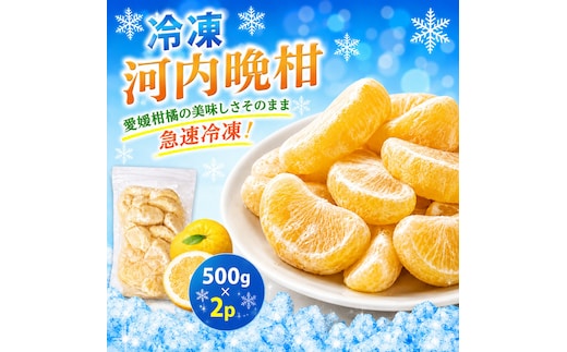冷凍 河内晩柑 500g×1袋 小分け 愛南ゴールド 和製グレープフルーツ おやつ 柑橘 かんきつ 冷凍 冷凍柑橘 冷凍みかん 夏 アイス スムージー シャーベット みかん職人武田屋 愛媛県 愛南町