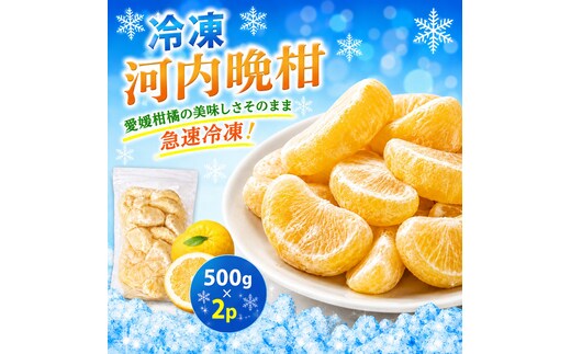 冷凍 河内晩柑 500g×2袋 小分け 愛南ゴールド 和製グレープフルーツ おやつ 柑橘 かんきつ 冷凍 冷凍柑橘 冷凍みかん 夏 アイス スムージー シャーベット みかん職人武田屋 愛媛県 愛南町