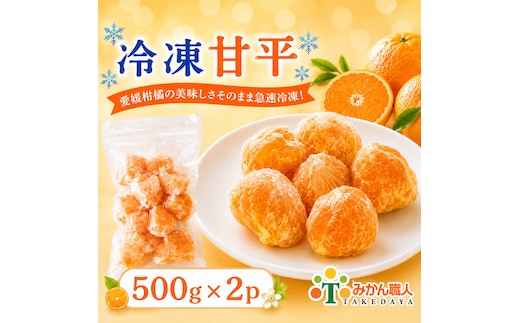 冷凍甘平 500g×2袋 冷凍みかん みかん ミカン 愛媛みかん 蜜柑 柑橘 かんきつ 冷凍ミカン 冷凍柑橘 アイス スムージー シャーベット みかん職人武田屋 愛媛県 愛南町