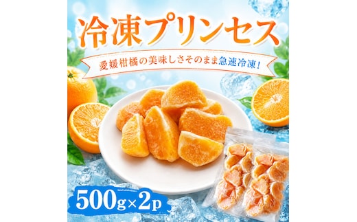 冷凍プリンセス 500g × 2袋 冷凍みかん みかん ミカン 愛媛みかん 蜜柑 柑橘 かんきつ 冷凍ミカン 冷凍柑橘 アイス スムージー シャーベット みかん職人武田屋 愛媛県 愛南町