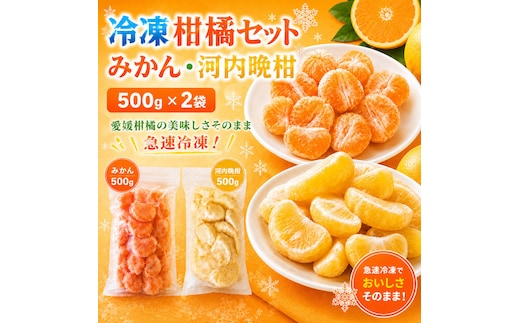 冷凍柑橘セット みかん・河内晩柑 500g ×2袋 冷凍みかん みかん ミカン 愛媛みかん 蜜柑 柑橘 かんきつ 冷凍ミカン 冷凍柑橘 アイス スムージー シャーベット みかん職人武田屋 愛媛県 愛南町