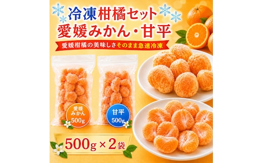 冷凍柑橘セット みかん・甘平 500g ×2袋 冷凍みかん みかん ミカン 愛媛みかん 蜜柑 柑橘 かんきつ 冷凍ミカン 冷凍柑橘 アイス スムージー シャーベット みかん職人武田屋 愛媛県 愛南町