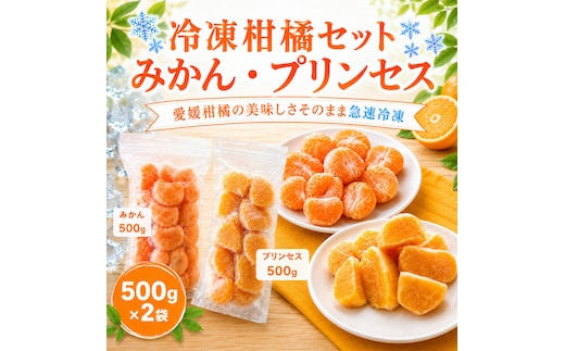 冷凍柑橘セット 愛媛みかん・プリンセス 500g ×2袋 冷凍みかん みかん ミカン 愛媛みかん 蜜柑 柑橘 かんきつ 冷凍ミカン 冷凍柑橘 アイス スムージー シャーベット みかん職人武田屋 愛媛県 愛南町