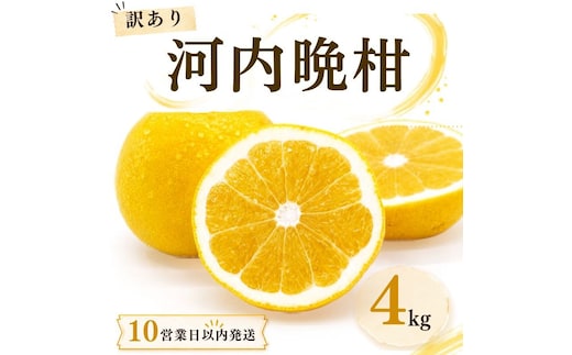 【10営業日以内発送】訳あり 河内晩柑 ばんかん 約 4kg 不揃い 大小ミックス お試し 少なめ 傷あり 柑橘 かんきつ フルーツ 果物 くだもの すぐ届く おいしい 甘い 厳選 愛媛 みかん 蜜柑 Mikan 愛南 ご当地 ブランド 野菜 サラダ ピール ゼリー お菓子 お中元 お盆 家族 デザート マルエム直販 愛媛県 愛南町