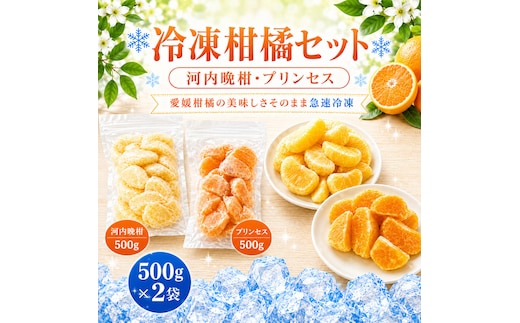 冷凍柑橘セット 河内晩柑・プリンセス 500g ×2袋 冷凍みかん みかん ミカン 愛媛みかん 蜜柑 柑橘 かんきつ 冷凍ミカン 冷凍柑橘 アイス スムージー シャーベット みかん職人武田屋 愛媛県 愛南町