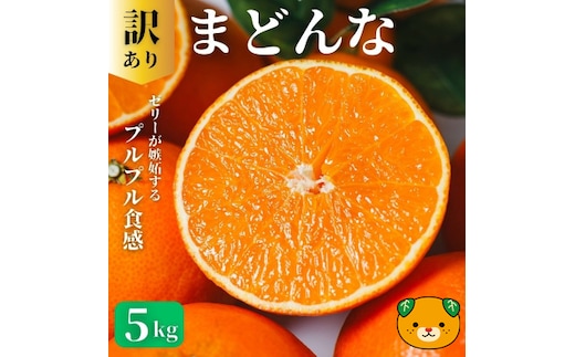【先行予約：2026年11月20日～発送】訳あり まどんな 5kg 数量限定 愛果28号 紅まどんな 柑橘 かんきつ フルーツ 果物 旬 みかん ミカン 国産 サイズ不揃い 家庭用 おやつ 期間限定 みかん マドンナ 愛媛県 愛南町 愛南町青果市場組合