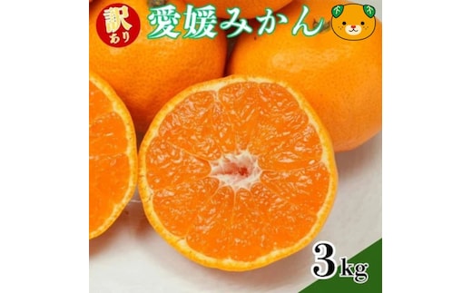 【先行予約：2026年11月中旬～発送】訳あり愛媛みかん 3kg +傷み保証250g 数量限定 温州みかん みかん ミカン 蜜柑 柑橘 不揃い サイズミックス 規格外 愛媛県 愛南町 愛南町青果市場組合