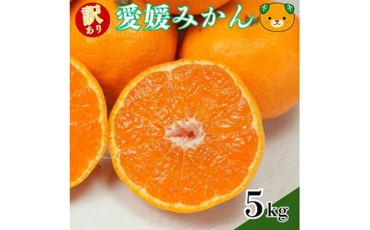 【先行予約：2026年11月中旬～発送】訳あり愛媛みかん 5kg +傷み保証250g 数量限定 温州みかん みかん ミカン 蜜柑 柑橘 不揃い サイズミックス 規格外 愛媛県 愛南町 愛南町青果市場組合