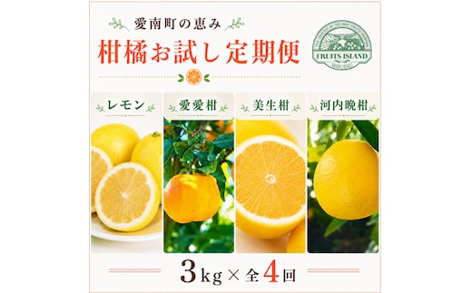 定期便 4回 4ヶ月 レモン ポンカン 美生柑 河内晩柑 柑橘 みかん 蜜柑 みしょうかん フルーツ 果物 くだもの ばんかん かんきつ ゼリー ジュース アイス マーマレード 旬 季節 限定 贈答 ギフト mikan ジューシー サラダ ピール 厳選 国産 愛媛 ご当地ブランド 愛媛県 愛南町 フルーツアイランド・マルエム直販