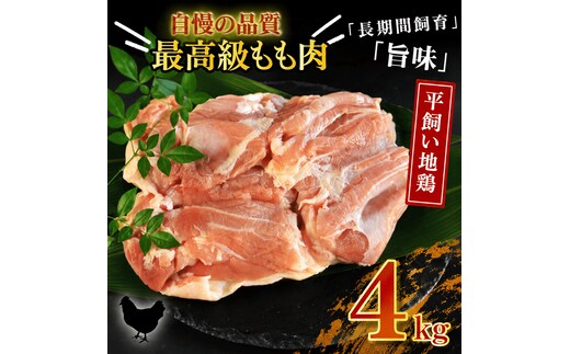 地鶏 愛媛 媛っこ地鶏 もも肉 約4kg 鶏肉 鳥肉 肉 チキン むね 焼肉 焼き鳥 BBQ 冷凍 国産 高級 タンパク質 低脂肪 糖質 唐揚げ チキン南蛮 サラダチキン スープ 出汁 愛南町 送料無料 ローカルスタンダード
