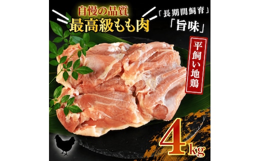 地鶏 愛媛 媛っこ地鶏 もも肉 約4kg 鶏肉 鳥肉 肉 チキン むね 焼肉 焼き鳥 BBQ 冷凍 国産 高級 タンパク質 低脂肪 糖質 唐揚げ チキン南蛮 サラダチキン スープ 出汁 愛南町 送料無料 ローカルスタンダード