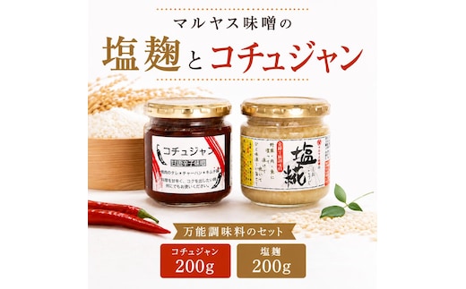 塩こうじ200g コチュジャン200g 各1パック 塩麹 麹 韓国風 甘辛味噌 味噌 はだか麦 国産 甘口 老舗 発酵食品 健康 国産 無添加 老舗 人気 おすすめ 調味料 田楽 発酵食品 ギフト 贈答 愛媛県 愛南町 マルヤス味噌