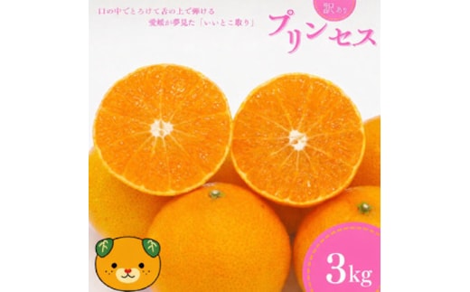 【先行予約：2027年3月上旬～発送】 訳あり プリンセス 愛果48号 3kg みかん 小玉 愛媛県 の 新品種 高級 人気 ブランド 柑橘 果物 フルーツ サイズミックス 甘い おいしい お取り寄せ 産地直送 農家直送 国産 特産品 中山農園 愛媛県 愛南町