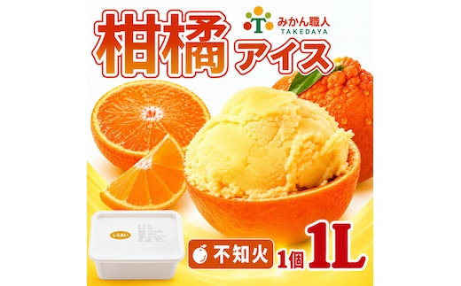 柑橘アイス 1個1000ml【 不知火 】 冷凍 みかん 旬 農家直送 特産品 さっぱり 大人 旨味 アイス ジェラート シャーベット ソルベ アイスクリーム ランキング 人気 業務用 大容量 ホームタイプアイス ファミリーサイズ 家庭用 みかん 柑橘 かんきつ 不知火 デコポン ぽんかん 冷凍 冬 夏 みかん職人武田屋 愛媛県 愛南町