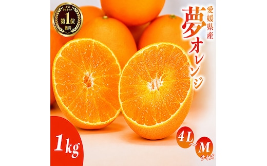 【先行予約】訳あり みかん職人の夢おれんじ 1kg 柑橘 果物 フルーツ 愛媛 みかん職人武田屋 蜜柑 愛果28号 愛媛果試第28号 まどんな オレンジ 大小ミックスサイズ 甘い 甘さ みかん かんきつ 柑橘 冬 旬 食べごろ 農家 農家直送 農園 人気 みかん職人 武田屋 産直 みかん職人武田屋 愛媛県 愛南町