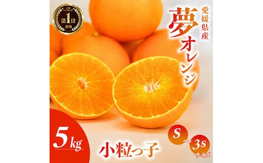 【先行予約】訳あり みかん職人の夢おれんじ 小粒っ子 5kg オレンジ みかん 柑橘 果物 フルーツ 愛媛 みかん職人武田屋 蜜柑 愛果28号 愛媛果試第28号 まどんな 小玉 蜜柑 甘い 甘さ みかん かんきつ らんきんぐ 柑橘 冬 旬 食べごろ 農家 農家直送 農園 人気 みかん職人 武田屋 産直 みかん職人武田屋 愛媛県