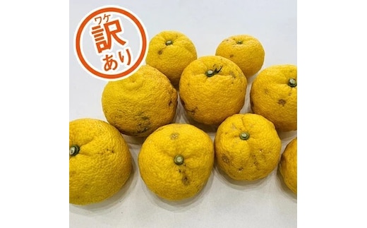 【先行予約】訳あり みかん職人の柚子（ゆず）3kg ユズ ゆず 柚子 柑橘 フルーツ かんきつ みかん 訳あり 家庭用 えひめ 愛媛県 愛南町 みかん職人武田屋