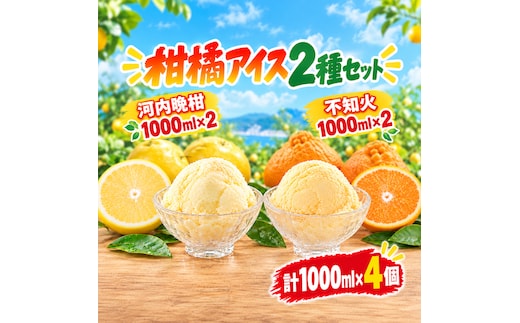 柑橘アイス2種セット 1000ml×各2個(計4個)【 不知火 】【河内晩柑】 冷凍 みかん 旬 農家直送 特産品 さっぱり 大人 旨味 アイス ジェラート シャーベット ソルベ アイスクリーム ランキング 人気 業務用 大容量 ホームタイプアイス ファミリーサイズ 家庭用 みかん 柑橘 かんきつ 不知火 デコポン ぽんかん 冷凍 冬 夏 みかん職人武田屋 愛媛県 愛南町