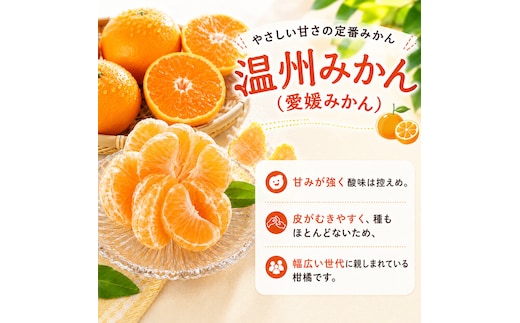 冷凍愛媛みかん 500g×2袋 冷凍みかん みかん ミカン 愛媛みかん 蜜柑
