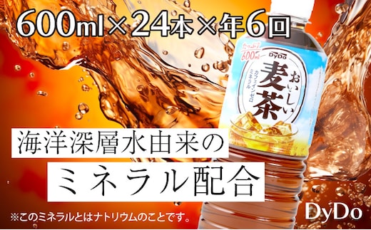 nm044おいしい麦茶600ml×24本【年6回定期便】