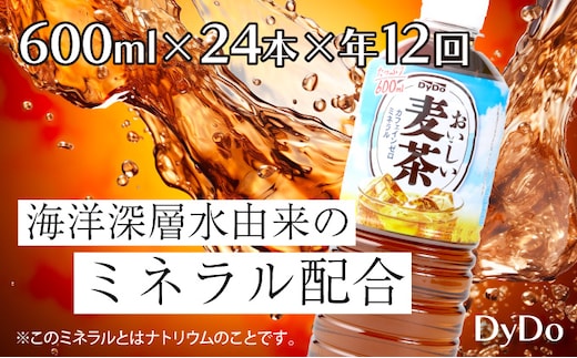 nm045おいしい麦茶600ml×24本【年12回定期便】
