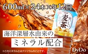 nm045おいしい麦茶600ml×24本【年12回定期便】