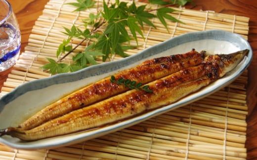 hn088７０年つぎ足しの秘伝のたれ！初音の高知県産うなぎ蒲焼き１尾 ＿ 国産 ウナギ 鰻 うなぎ 蒲焼き 秘伝のタレ 土用の丑の日 配送可