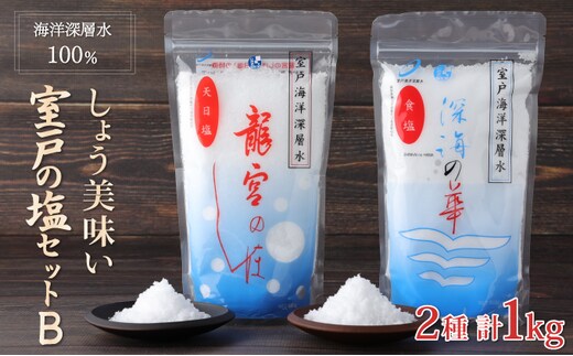 mr002しょう美味い室戸の塩セットＢ 計1000ｇシオ しお 調味料 塩分 熱中症対策 防災 天日塩 おにぎり 天ぷら フライドポテト BBQ