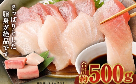ge014厳選 トロビンチョウ 鮪 ５００ｇ 以上 ビンチョウマグロ 天然 鮪 冷凍 海鮮 丼