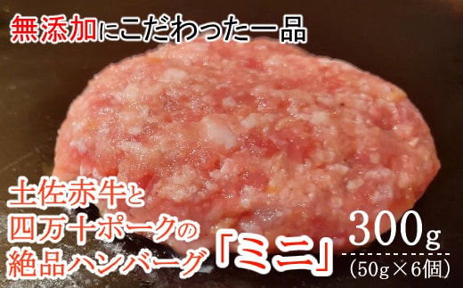 sd016ハンバーガー屋の本気ミニハンバーグ300ｇ（50ｇ×6個） ＜ 国産 高知県産 牛肉 豚肉 ブランド肉 希少 土佐あかうし 四万十ポーク ＞