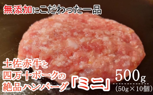sd017ハンバーガー屋の本気ミニハンバーグ500ｇ（50ｇ×10個） ＜ 国産 高知県産 牛肉 豚肉 ブランド肉 希少 土佐あかうし 四万十ポーク ＞
