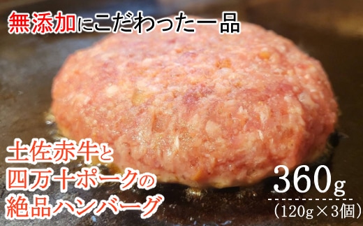sd019ハンバーガー屋の本気ハンバーグ360ｇ（120ｇ×3個） ＜ 国産 高知県産 牛肉 豚肉 ブランド肉 希少 土佐あかうし 四万十ポーク ＞