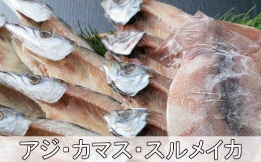 iz029黒潮干物セット（１１枚）