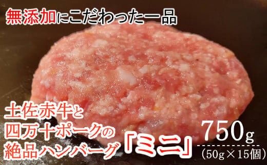 sd018ハンバーガー屋の本気ミニハンバーグ750ｇ（50ｇ×15個） ＜ 国産 高知県産 牛肉 豚肉 ブランド肉 希少 土佐あかうし 四万十ポーク ＞
