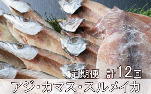 iz032黒潮干物１１枚定期便【全１２回】