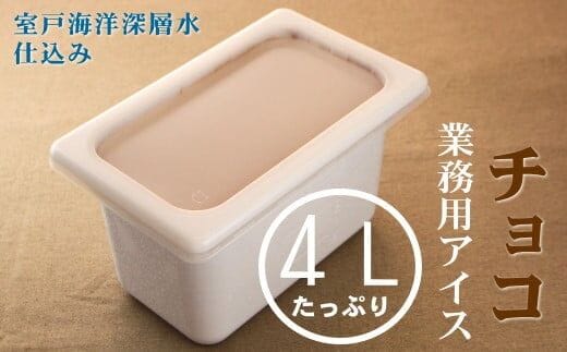 mt012チョコ４L 業務用アイス